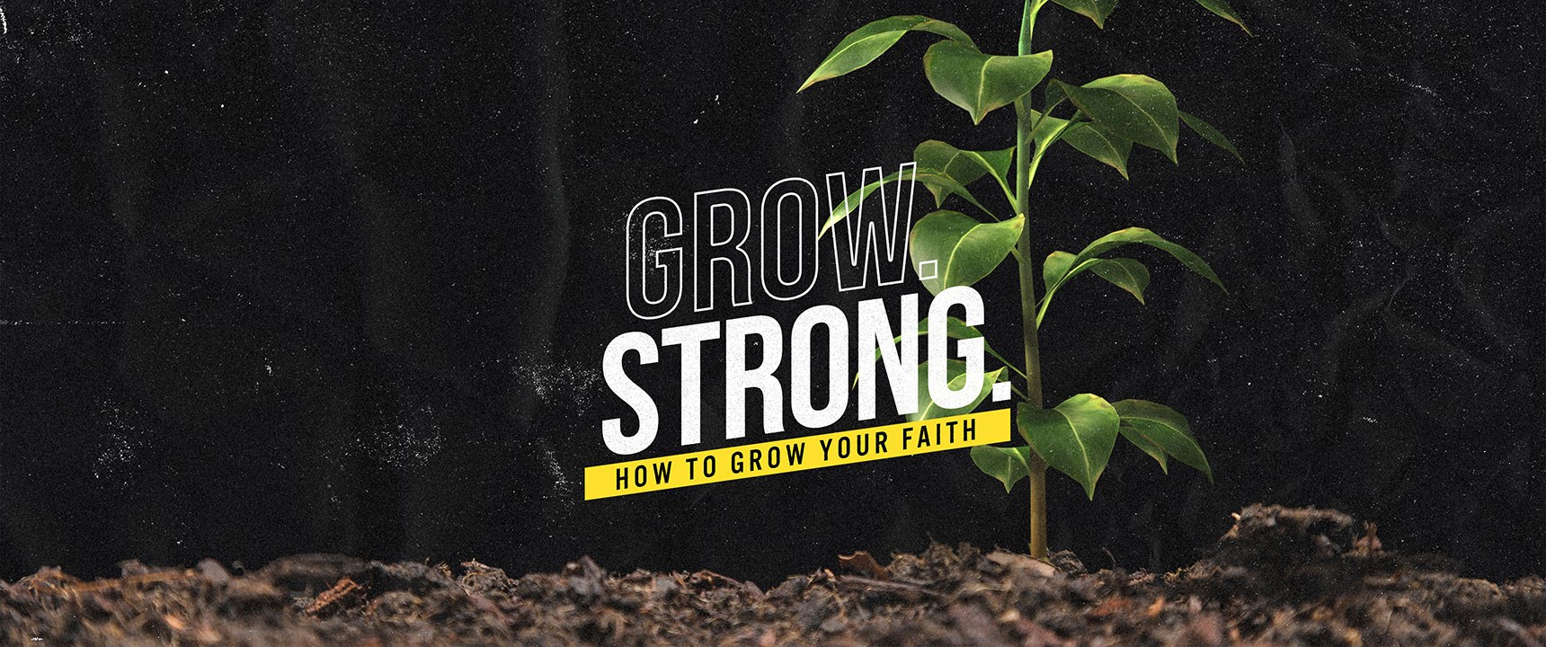Grow. Strong.